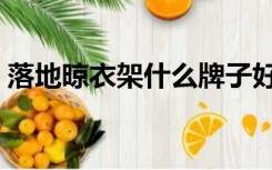 落地晾衣架什么牌子好（晾衣架什么牌子好）