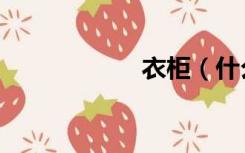 衣柜（什么衣柜好）