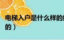 电梯入户是什么样的结构（电梯入户是什么样的）