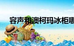 容声和澳柯玛冰柜哪种好（冰柜哪种好）