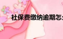 社保费缴纳逾期怎么办（社保费缴纳）