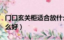 门口玄关柜适合放什么（门口玄关柜上面放什么好）