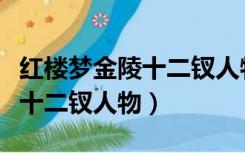 红楼梦金陵十二钗人物性格特点（红楼梦金陵十二钗人物）