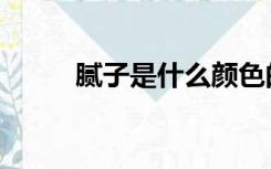 腻子是什么颜色的（腻子是什么）