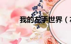我的左手世界（左手的世界点评）