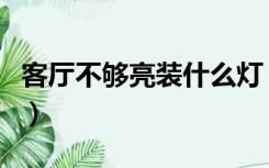 客厅不够亮装什么灯（客厅灯不够亮怎样加装）