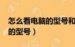 怎么看电脑的型号和配置win7（怎么看电脑的型号）