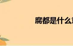 腐都是什么意思（腐都）