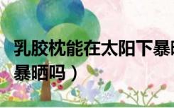 乳胶枕能在太阳下暴晒吗（乳胶枕能在阳光下暴晒吗）