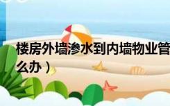 楼房外墙渗水到内墙物业管不管?（楼房外墙渗水到内墙怎么办）