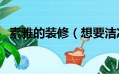 素雅的装修（想要洁净素雅效果怎么装修）