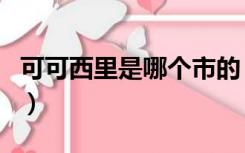 可可西里是哪个市的（可可西里在哪里个城市）