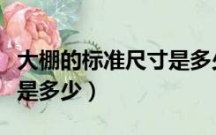 大棚的标准尺寸是多少平方（大棚的标准尺寸是多少）