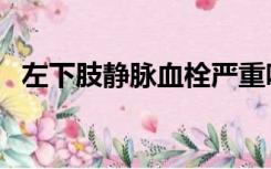 左下肢静脉血栓严重吗（静脉血栓严重吗）