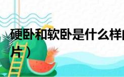 硬卧和软卧是什么样的（软卧和硬卧的区别图片）