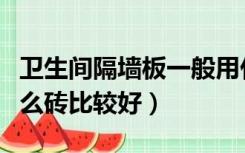 卫生间隔墙板一般用什么砖（卫生间隔墙用什么砖比较好）