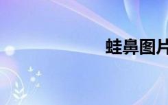蛙鼻图片（蛙鼻）