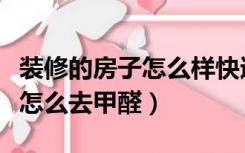 装修的房子怎么样快速去除甲醛（房子装修好怎么去甲醛）