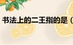 书法上的二王指的是（书法二王指的是什么）