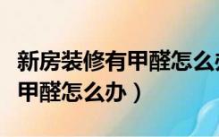 新房装修有甲醛怎么办能除掉吗（新房装修有甲醛怎么办）