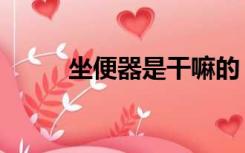 坐便器是干嘛的（坐便器是什么）