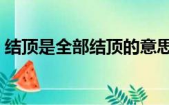 结顶是全部结顶的意思吗（结顶是什么意思）