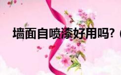 墙面自喷漆好用吗?（墙面自喷漆好用吗）