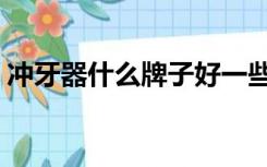 冲牙器什么牌子好一些（冲牙器什么牌子好）