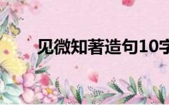 见微知著造句10字（见微知著造句）