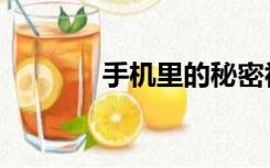 手机里的秘密视频（手机里）