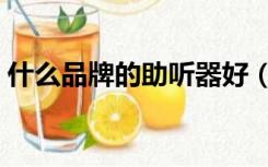 什么品牌的助听器好（哪个品牌的助听器好）