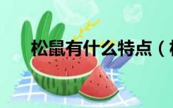 松鼠有什么特点（松鼠的特点是什么）
