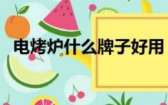 电烤炉什么牌子好用（电烤炉什么牌子好）