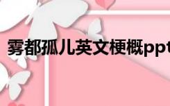 雾都孤儿英文梗概ppt（雾都孤儿英文梗概）