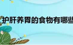 护肝养胃的食物有哪些（养胃的食物有哪些）