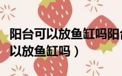 阳台可以放鱼缸吗阳台鱼缸风水知识（阳台可以放鱼缸吗）