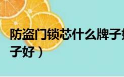 防盗门锁芯什么牌子好用（防盗门锁芯什么牌子好）