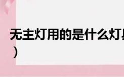 无主灯用的是什么灯具（无主灯用的是什么灯）