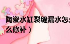 陶瓷水缸裂缝漏水怎么修补（水缸裂缝漏水怎么修补）