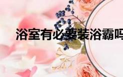 浴室有必要装浴霸吗（浴霸有必要装吗）