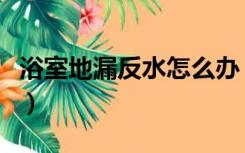 浴室地漏反水怎么办（卫生间地漏反水怎么办）