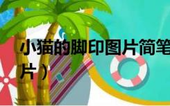 小猫的脚印图片简笔画 彩色（小猫的脚印图片）