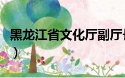 黑龙江省文化厅副厅长于峰（黑龙江省文化厅）