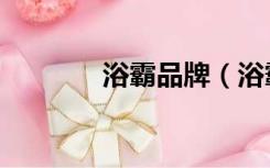 浴霸品牌（浴霸哪个牌子好）