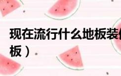 现在流行什么地板装修（装修房子流行什么地板）