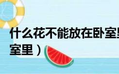 什么花不能放在卧室里养（哪些花不能放在卧室里）