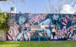 八个必看的悉尼房屋