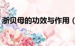 浙贝母的功效与作用（金荞麦的功效与作用）