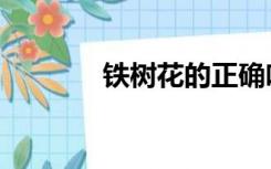 铁树花的正确吃法（铁树花）