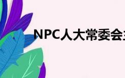 NPC人大常委会主任有什么权力？